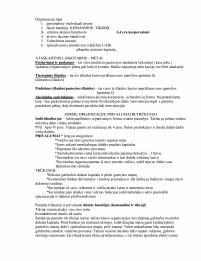 www.speros.lt